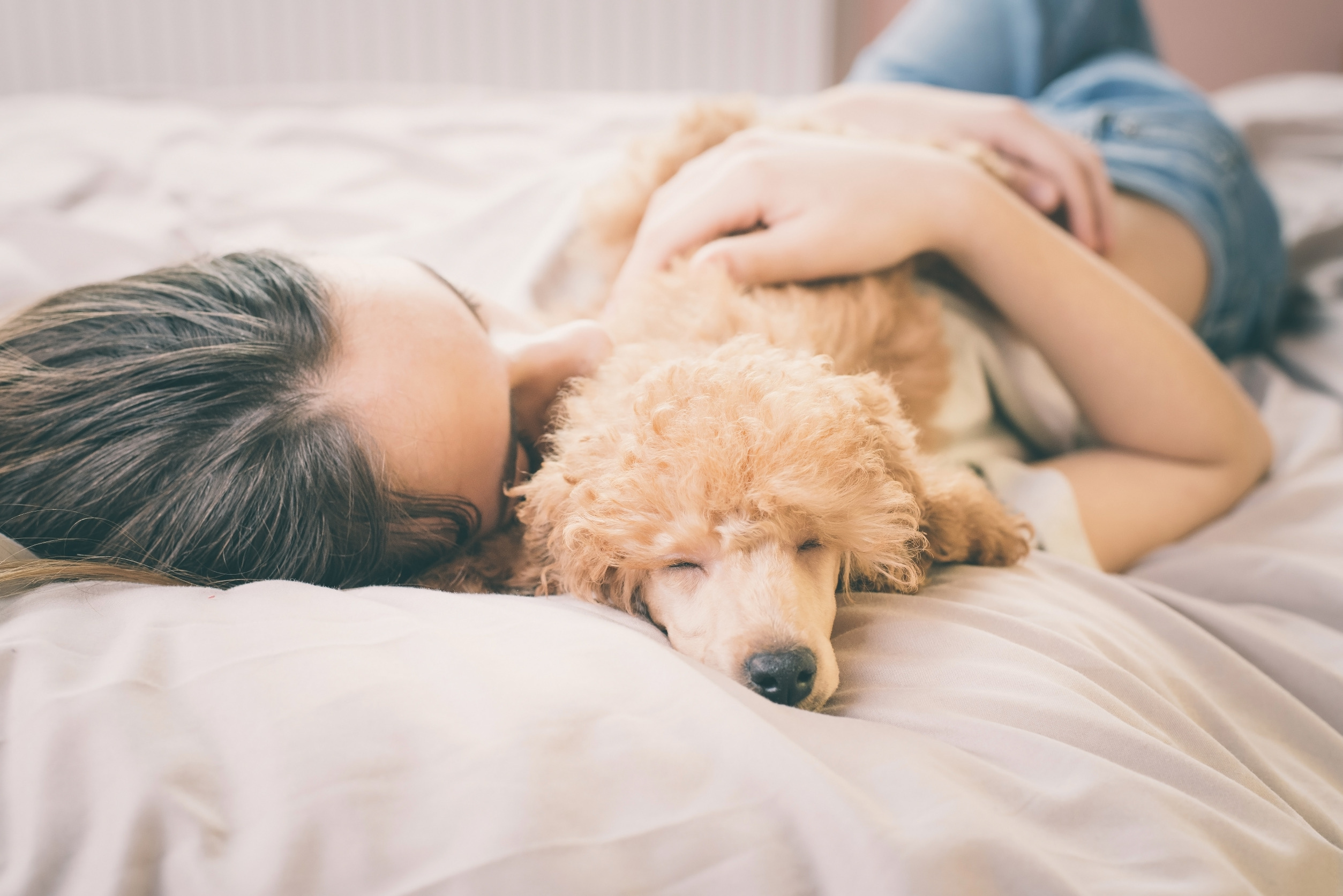 A dog sleeping with it's owner